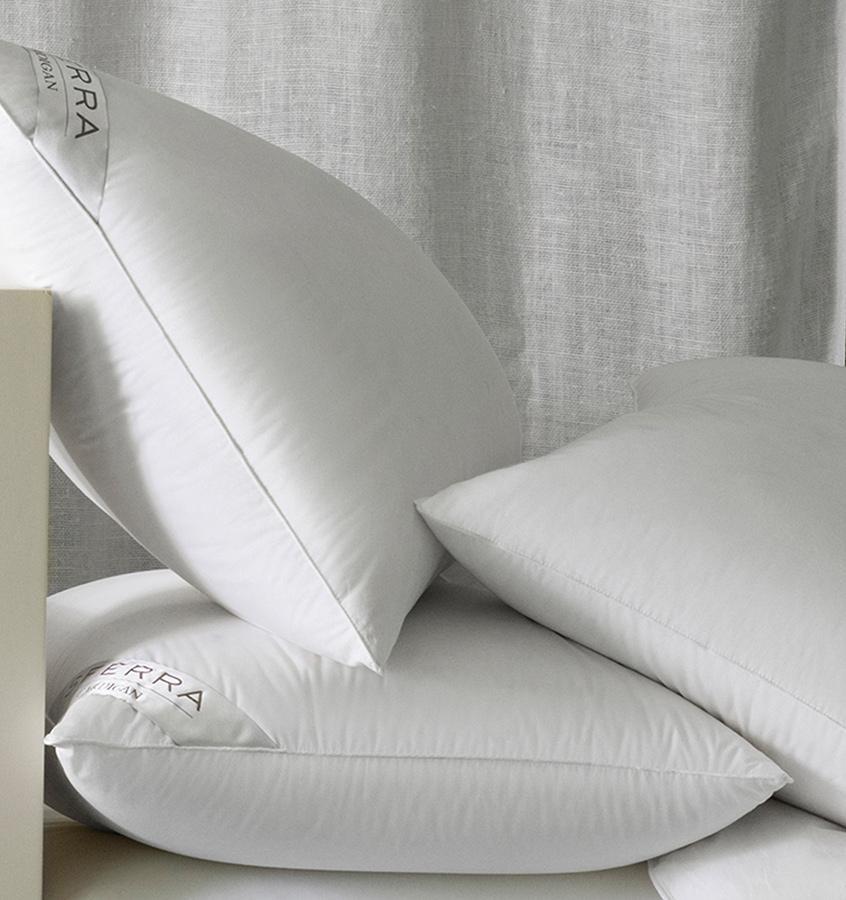 Insignia Decorative Pillow - Jabbour Linens